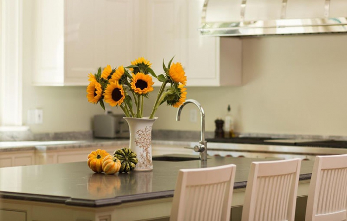 楊梅烘干除濕機,烘干的楊梅外形好味道佳