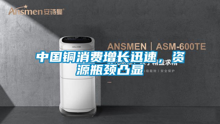 中國銅消費增長迅速，資源瓶頸凸顯