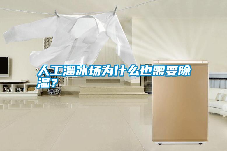 人工溜冰場為什么也需要除濕?