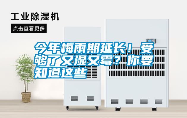 今年梅雨期延長！受夠了又濕又霉？你要知道這些