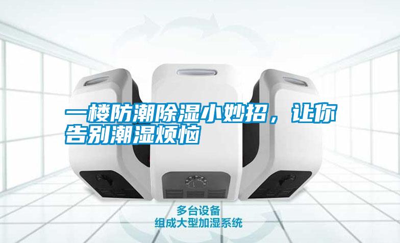 一樓防潮除濕小妙招，讓你告別潮濕煩惱