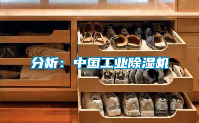 分析:中國工業(yè)除濕機