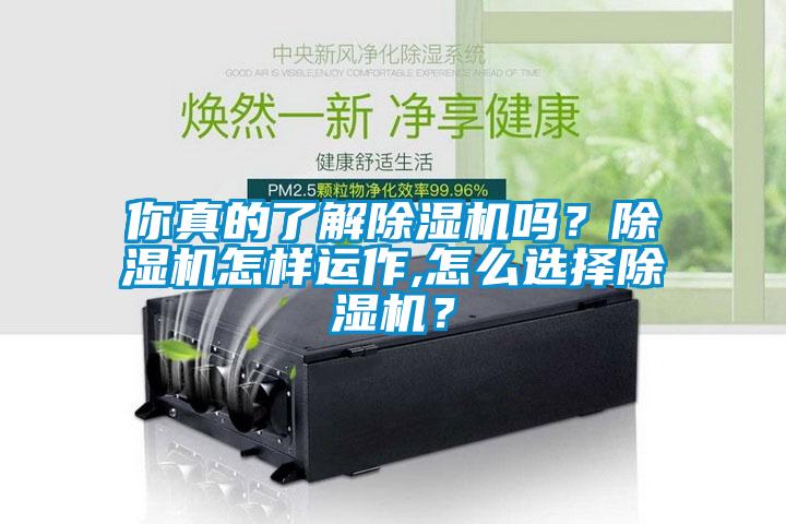 你真的了解除濕機嗎?除濕機怎樣運作,怎么選擇除濕機?