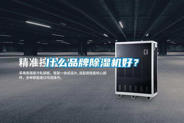 什么品牌除濕機好？