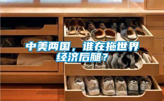 中美兩國,誰在拖世界經(jīng)濟(jì)后腿?