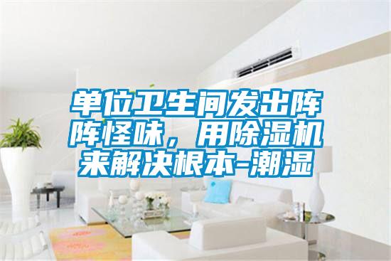 單位衛生間發出陣陣怪味,用除濕機來解決根本-潮濕