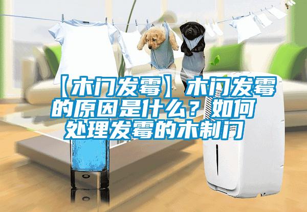 【木門發霉】木門發霉的原因是什么?如何處理發霉的木制門