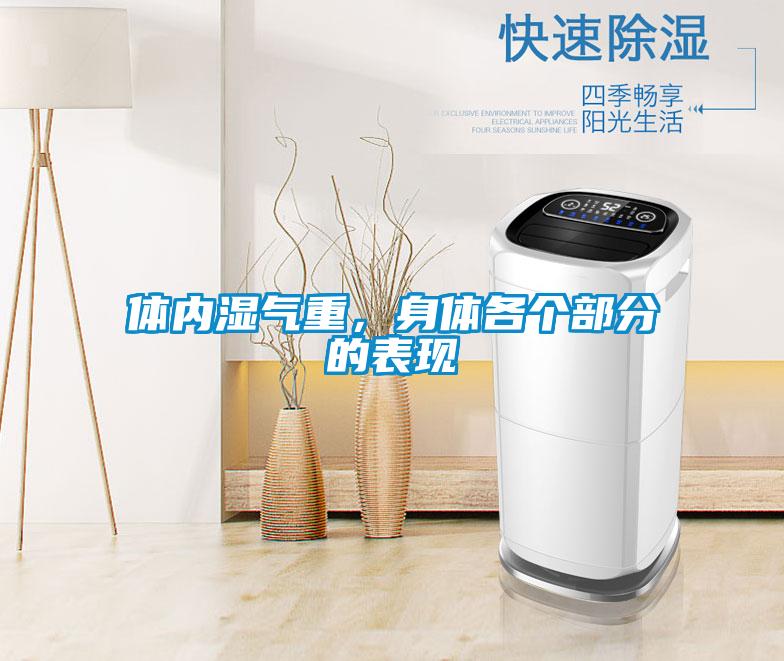 體內(nèi)濕氣重，身體各個部分的表現(xiàn)