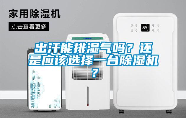 出汗能排濕氣嗎?還是應(yīng)該選擇一臺除濕機(jī)?