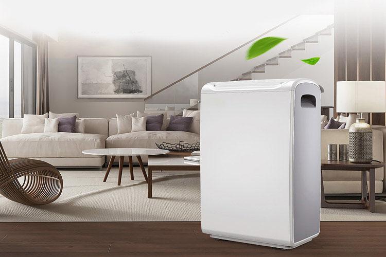 城中村必備家電？宜盾普 YL–2G10EC除濕機