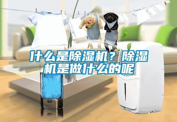 什么是除濕機(jī)?除濕機(jī)是做什么的呢