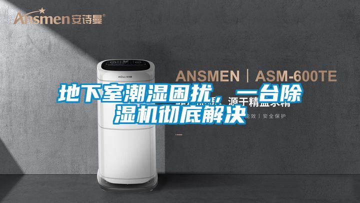 地下室潮濕困擾，一臺除濕機徹底解決