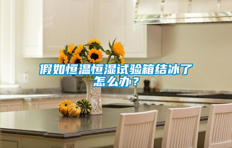 假如恒溫恒濕試驗箱結冰了怎么辦？