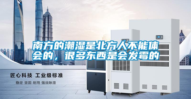 南方的潮濕是北方人不能體會的,很多東西是會發霉的