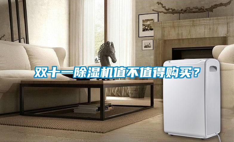 雙十一除濕機值不值得購買?