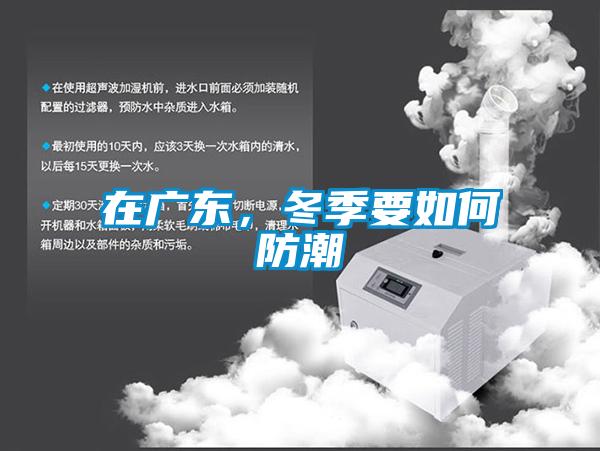 在廣東，冬季要如何防潮