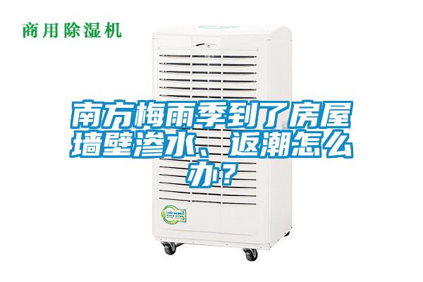南方梅雨季到了房屋墻壁滲水、返潮怎么辦?