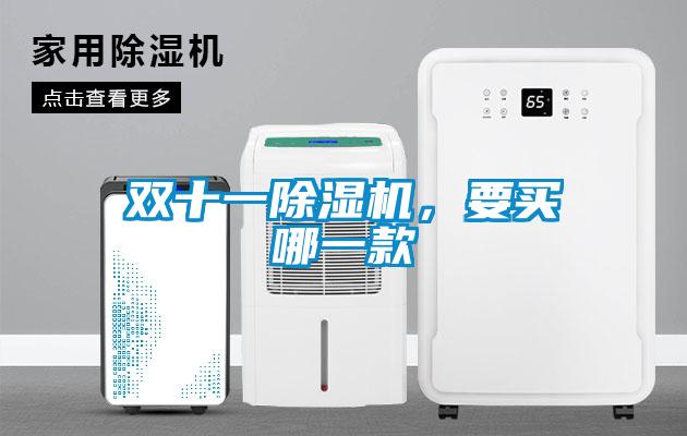 雙十一除濕機，要買哪一款