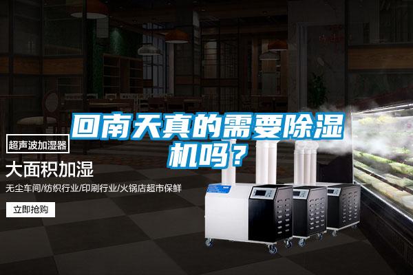 回南天真的需要除濕機嗎?