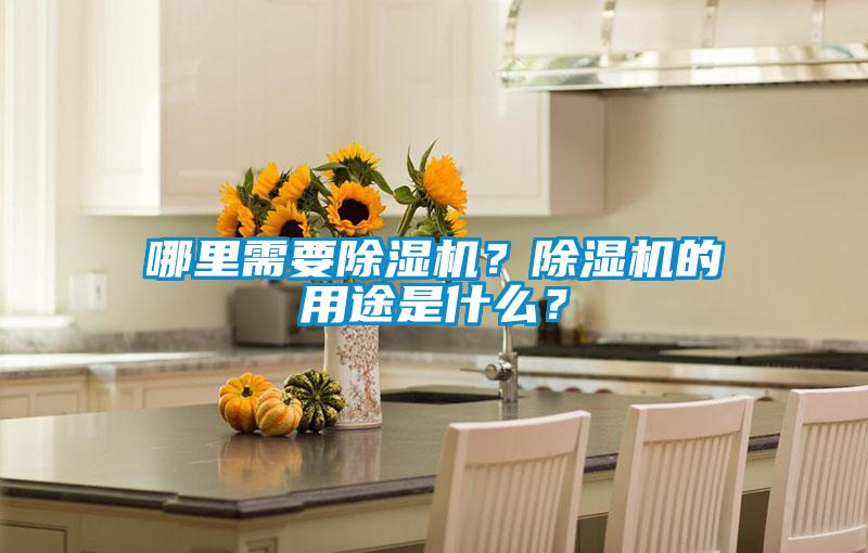 哪里需要除濕機？除濕機的用途是什么？
