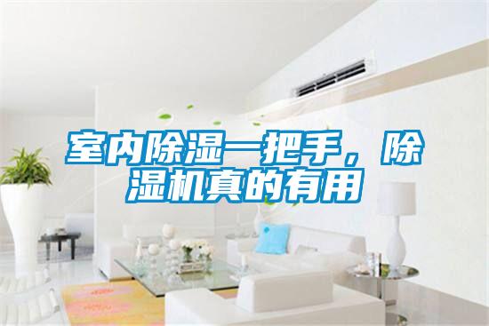 室內除濕一把手,除濕機真的有用