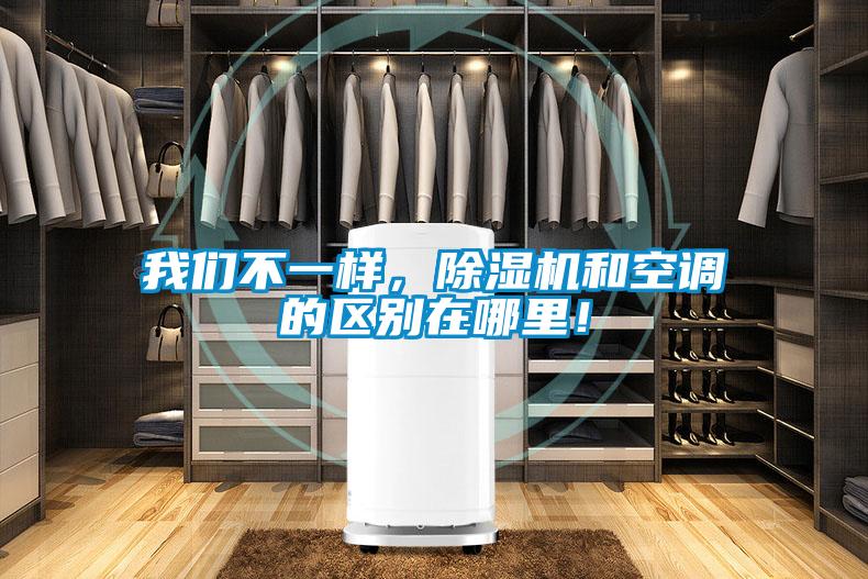 我們不一樣，除濕機和空調(diào)的區(qū)別在哪里！