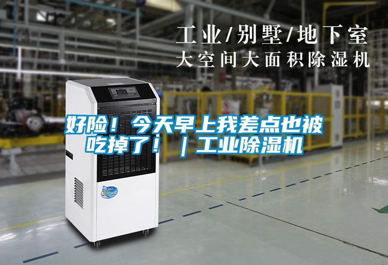好險(xiǎn)！今天早上我差點(diǎn)也被吃掉了！｜工業(yè)除濕機(jī)
