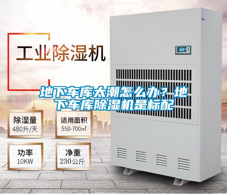 地下車庫太潮怎么辦?地下車庫除濕機(jī)是標(biāo)配