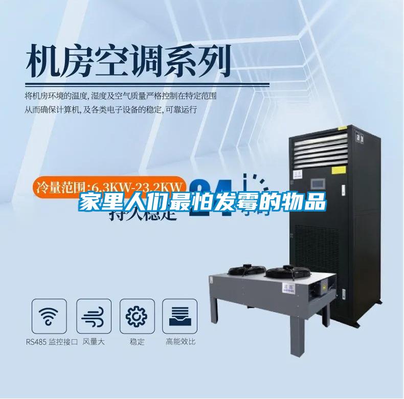 家里人們最怕發霉的物品