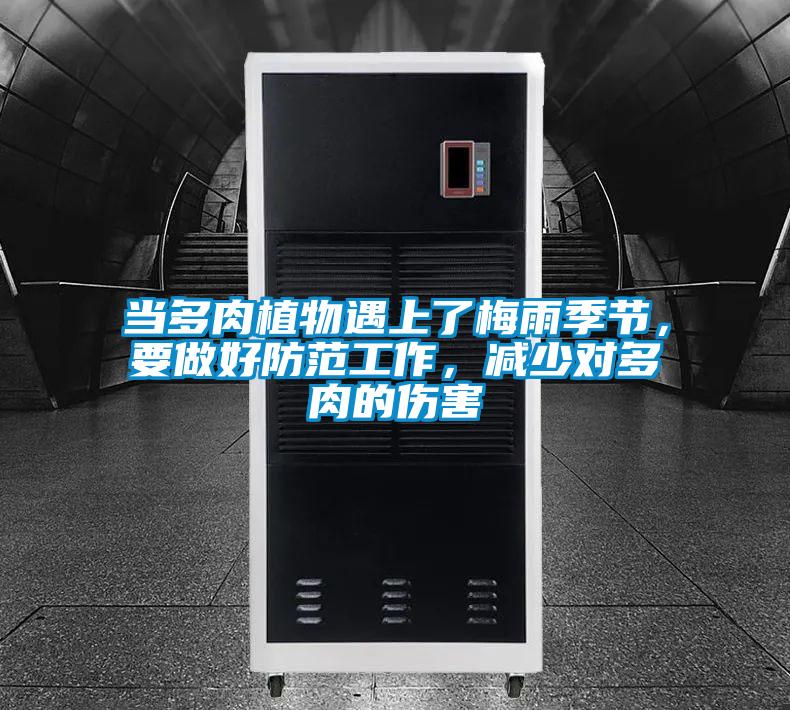 當多肉植物遇上了梅雨季節,要做好防范工作,減少對多肉的傷害