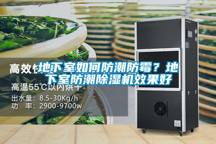 地下室如何防潮防霉?地下室防潮除濕機效果好