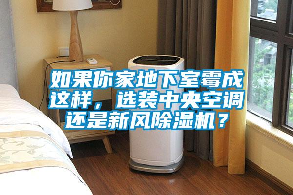 如果你家地下室霉成這樣,選裝中央空調(diào)還是新風除濕機?