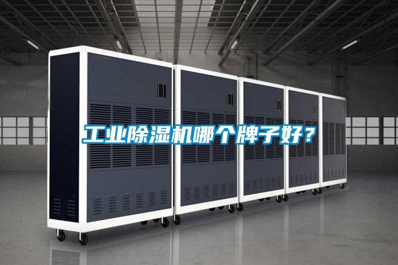 工業除濕機哪個牌子好？