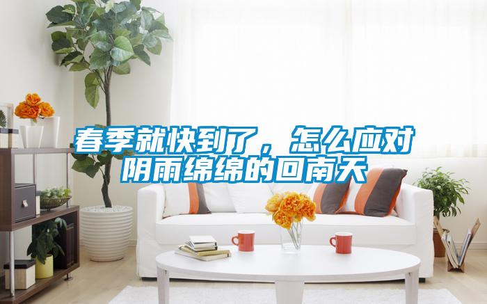 春季就快到了，怎么應對陰雨綿綿的回南天