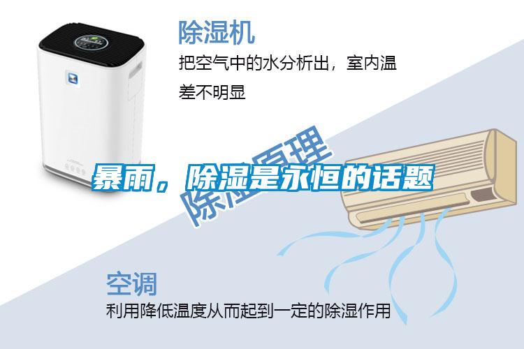 暴雨，除濕是永恒的話題