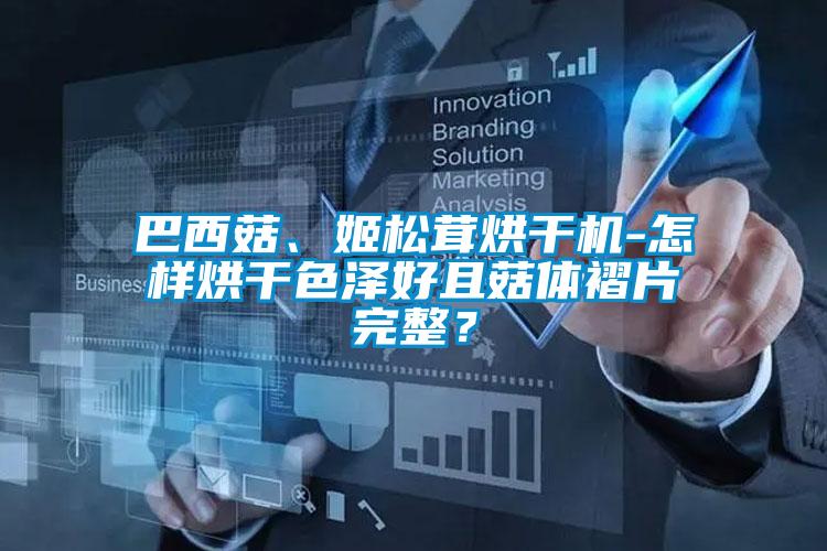 巴西菇、姬松茸烘干機(jī)-怎樣烘干色澤好且菇體褶片完整？