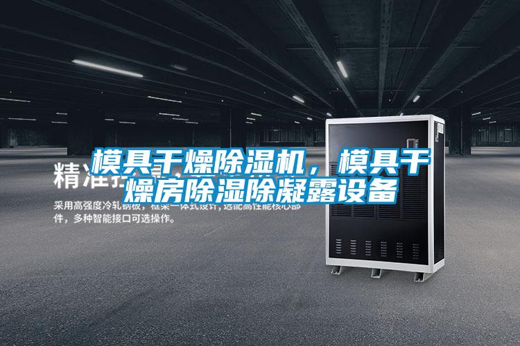 模具干燥除濕機(jī),模具干燥房除濕除凝露設(shè)備