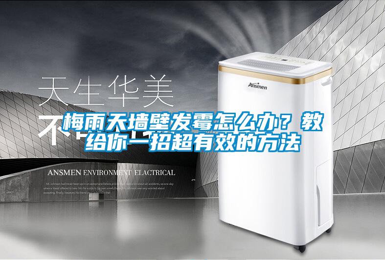 梅雨天墻壁發霉怎么辦？教給你一招超有效的方法