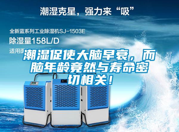 潮濕促使大腦早衰,而腦年齡竟然與壽命密切相關(guān)!