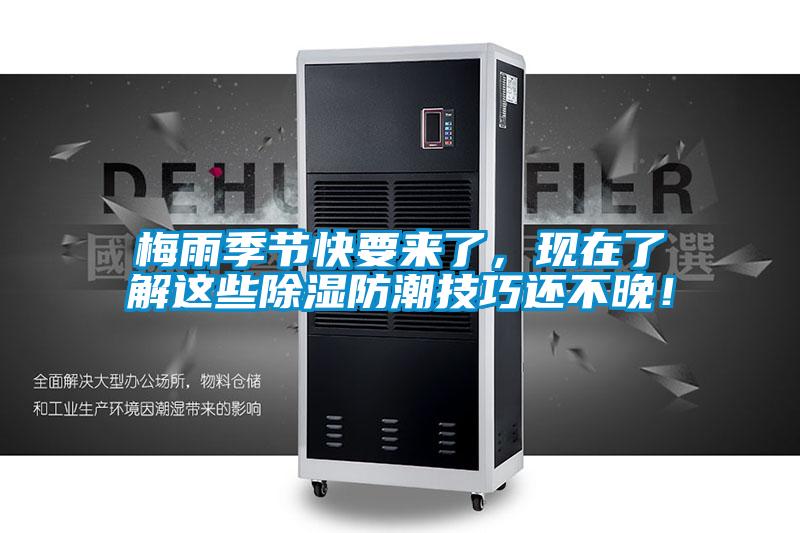 梅雨季節(jié)快要來了,現(xiàn)在了解這些除濕防潮技巧還不晚!