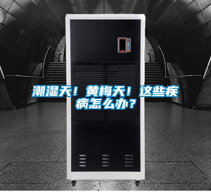 潮濕天!黃梅天!這些疾病怎么辦?