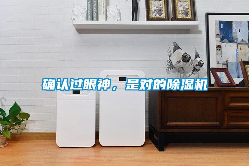 確認過眼神,是對的除濕機