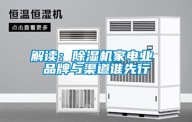 解讀:除濕機家電業(yè) 品牌與渠道誰先行