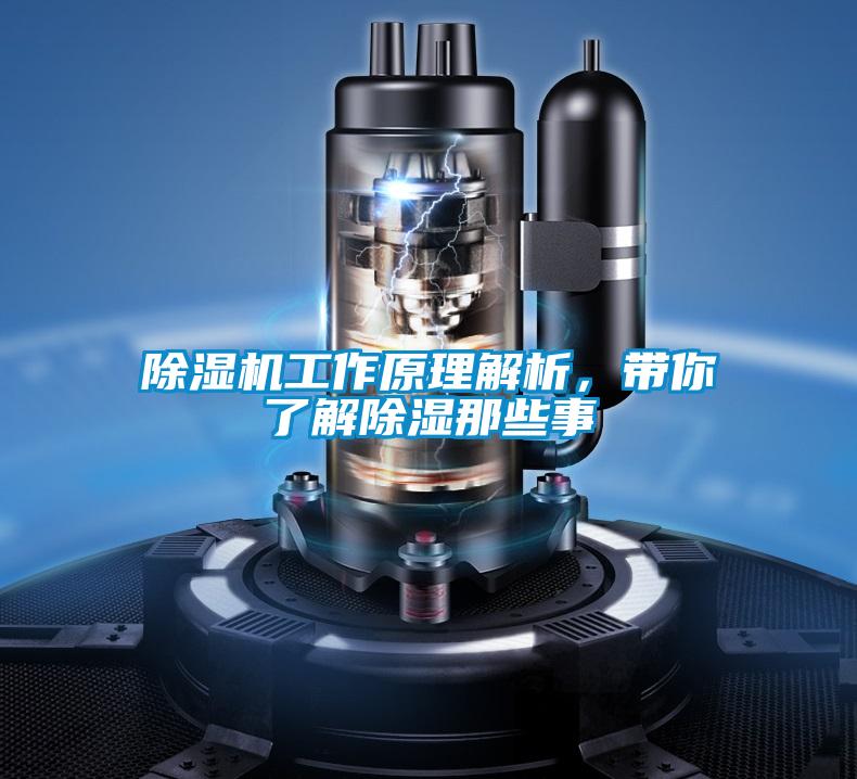 除濕機工作原理解析,帶你了解除濕那些事