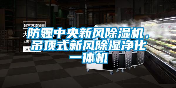 防霾中央新風除濕機,吊頂式新風除濕凈化一體機