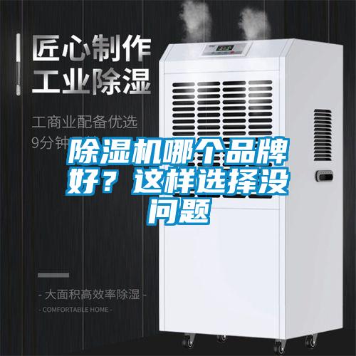 除濕機(jī)哪個品牌好?這樣選擇沒問題