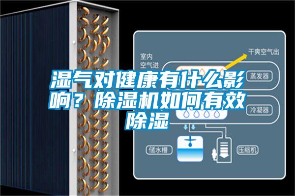 濕氣對(duì)健康有什么影響?除濕機(jī)如何有效除濕