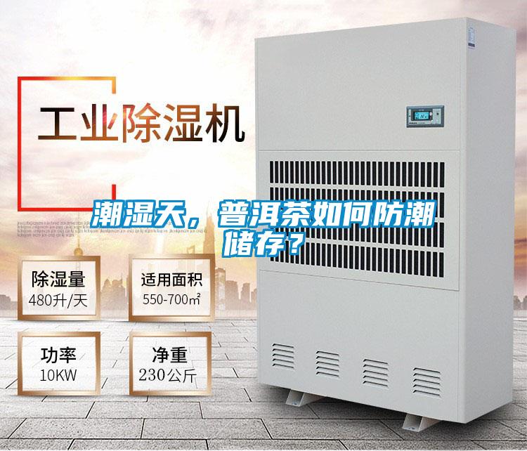 潮濕天，普洱茶如何防潮儲(chǔ)存？