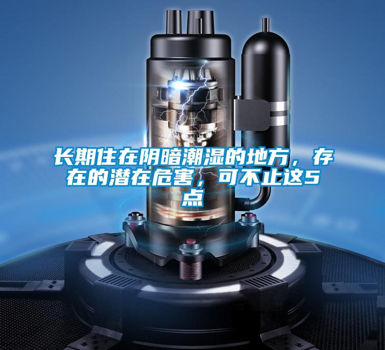 長期住在陰暗潮濕的地方,存在的潛在危害,可不止這5點