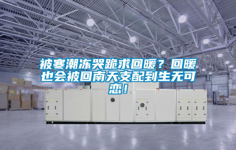 被寒潮凍哭跪求回暖？回暖也會(huì)被回南天支配到生無可戀！